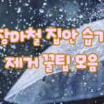장마철 집안 습기 제거 꿀팁 모음